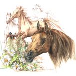 Paard_Horse_Helga_Martare_450x450_0002_13acomp. paarden met gras copy.jpg...